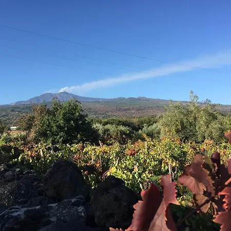Etna Vintage * Linguaglossa