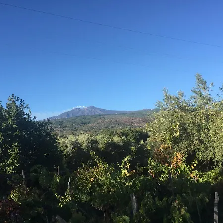 Etna Vintage Linguaglossa